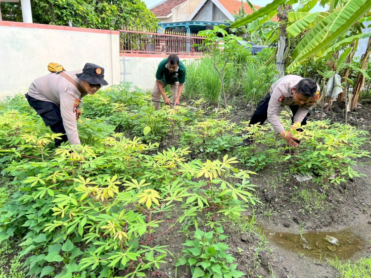 Kapolsek Krembung Cek Pekarangan Pangan Bergizi Desa Kandangan